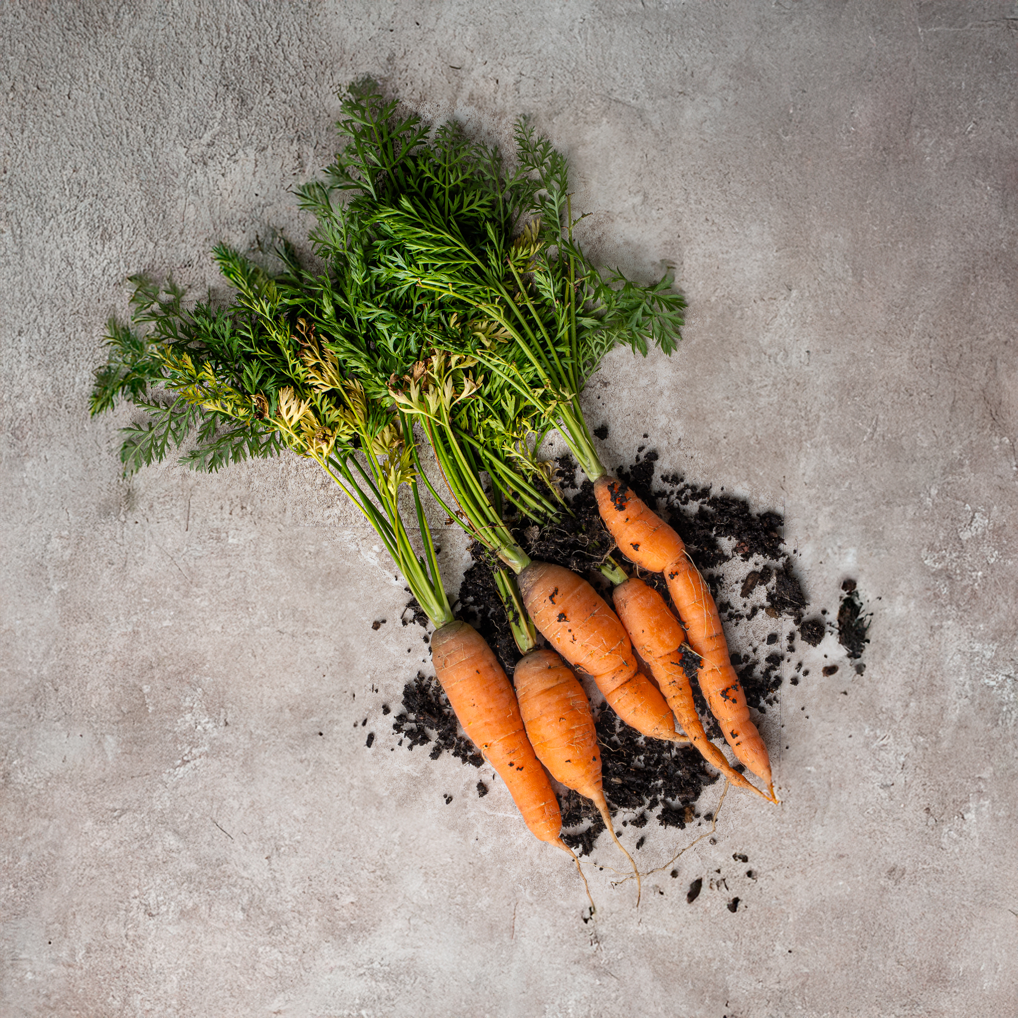 food photography, homegrown carrots